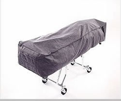 Model 321 Cot Cover