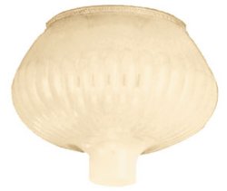 Click to view this item in detail