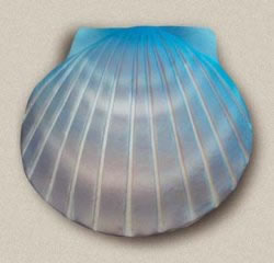 Picture of product Shell Biodegradable Urn - CEU2610
