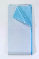 Disposable Stretcher Sheets