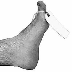 Picture of product Toe Tag - TT-1